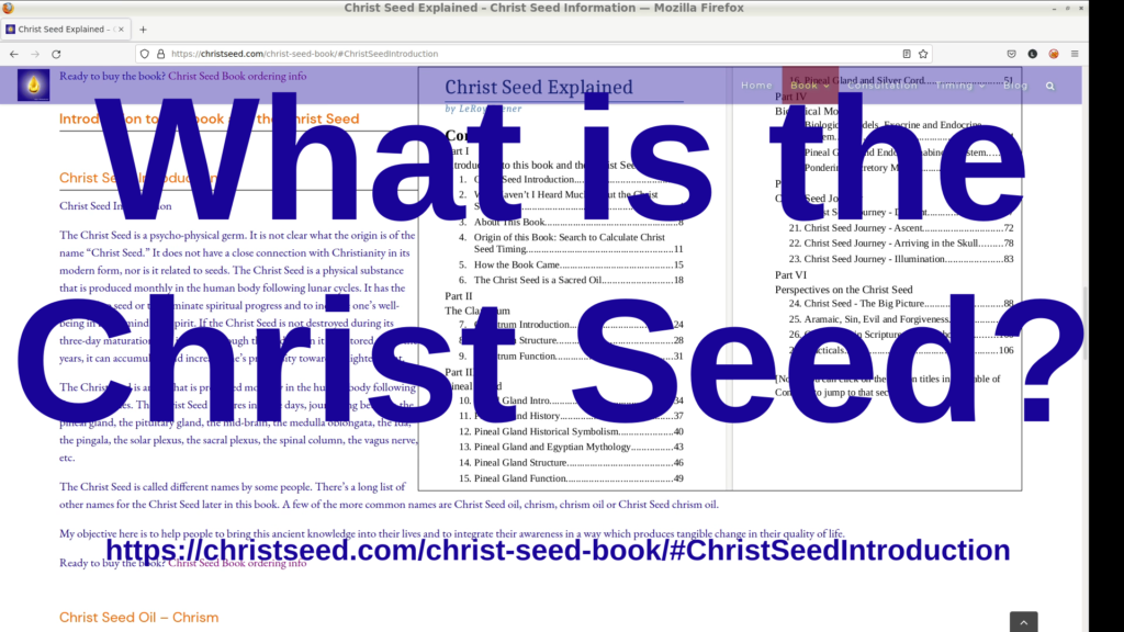 What is the Christ Seed video added on home page